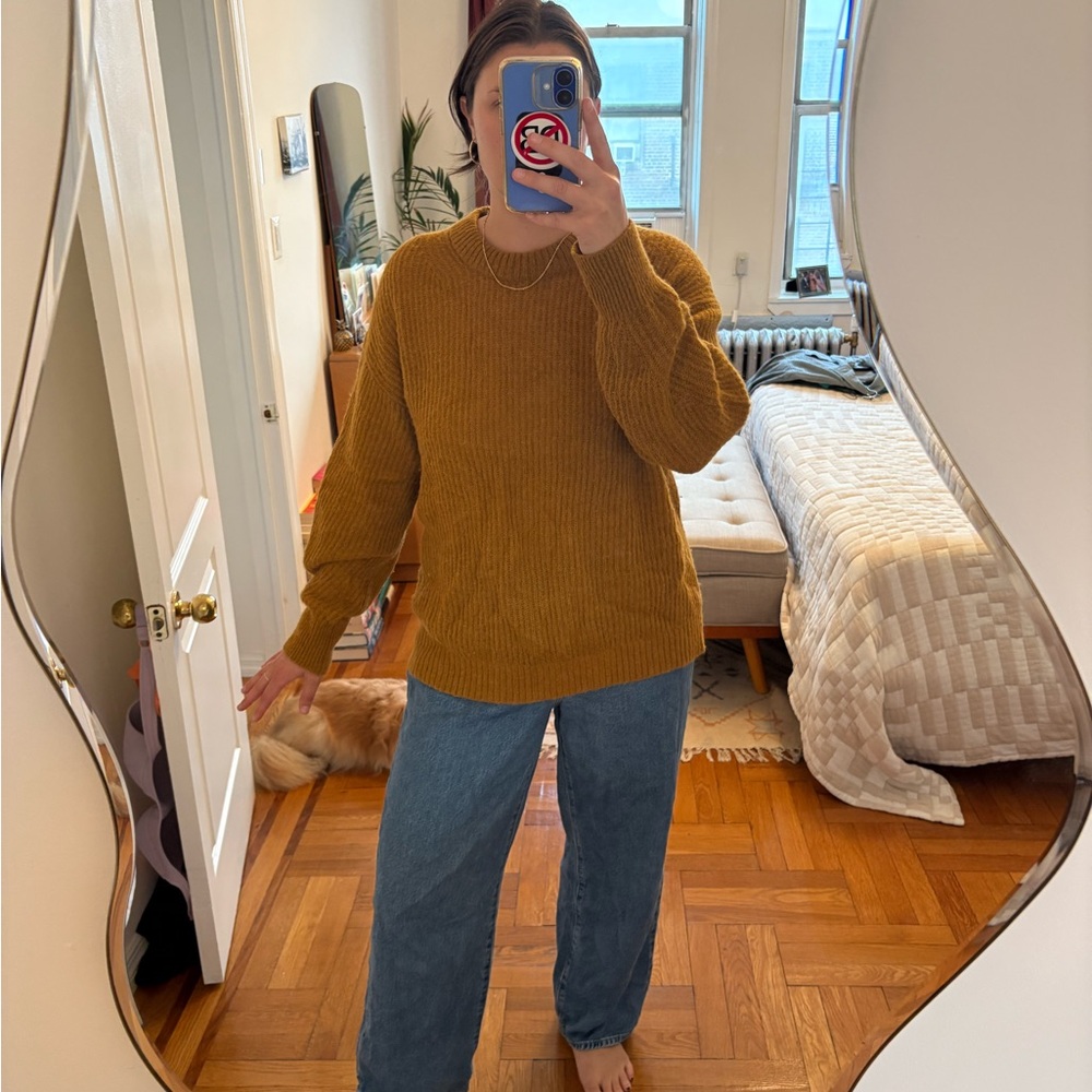 Everlane Alpaca Cocoon Sweater